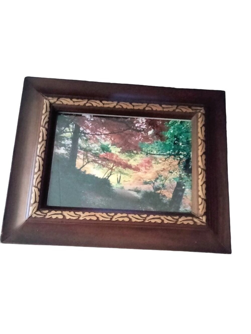 Autumn Pathway Photo Art Print Wood Picture Frame Fall Foliage Leaf Colorado